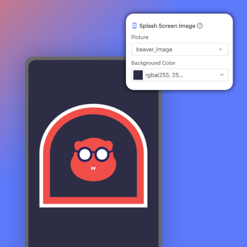 splash screen